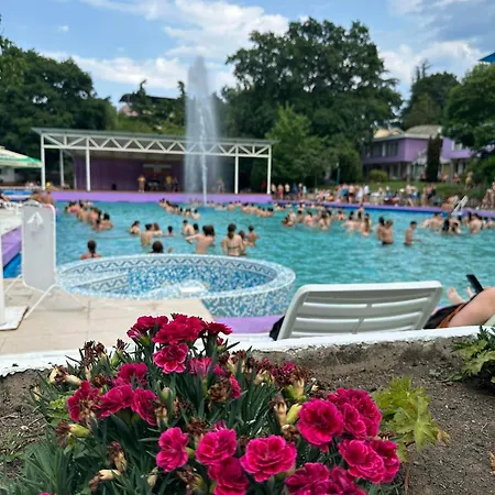 парк-хотел рива *