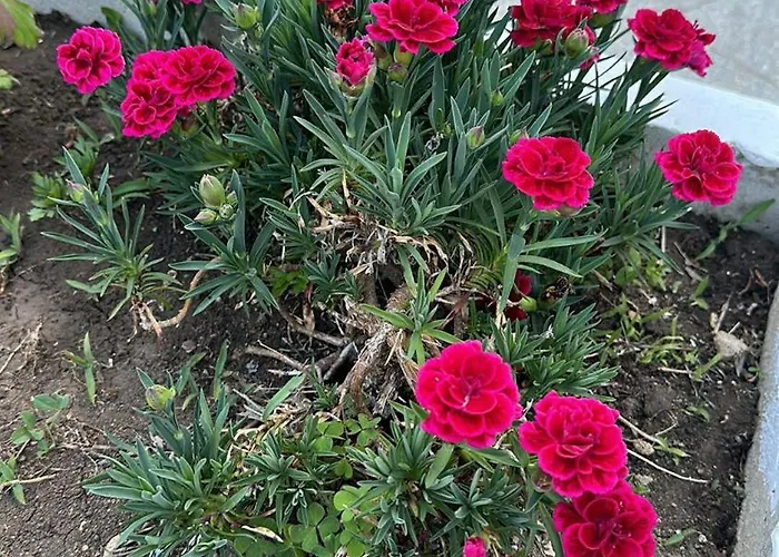 парк-хотел рива Lägenhet *